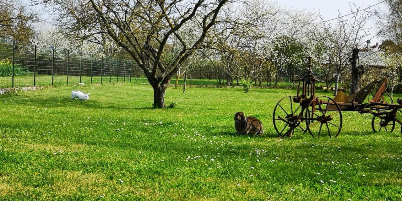 La Ferme Du Grand Bois Daire Mouterre-Silly Dış mekan fotoğraf