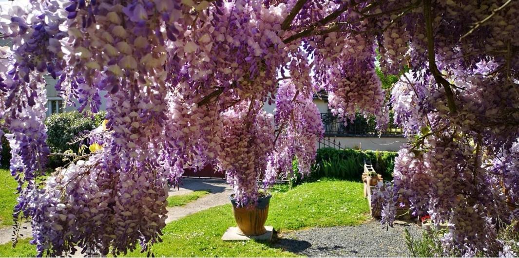 La Ferme Du Grand Bois Daire Mouterre-Silly Dış mekan fotoğraf